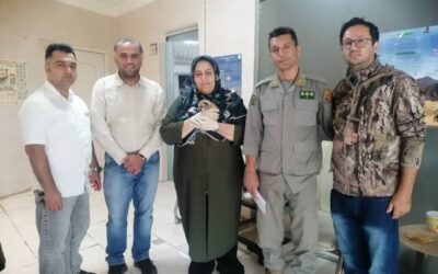 انتقال توله کاراکال زنده‌گیری‌ شده در میامی به کلینیک دامپزشکی کشور