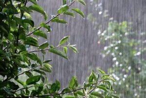 بارش ۲.۷ میلیمتری باران در قهاوندپیش‌بینی دمای ۴۰ درجه سانتیگراد در همدان