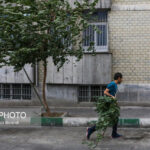 گرما و باد و خاک در تهران