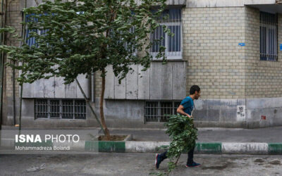 گرما و باد و خاک در تهران