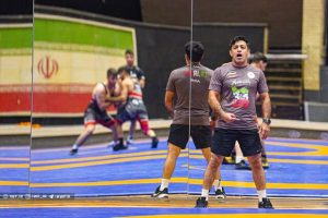 باوفا از سیاست‌های علیرضا دبیر عدول کنیم به مشکل می‌خوریم