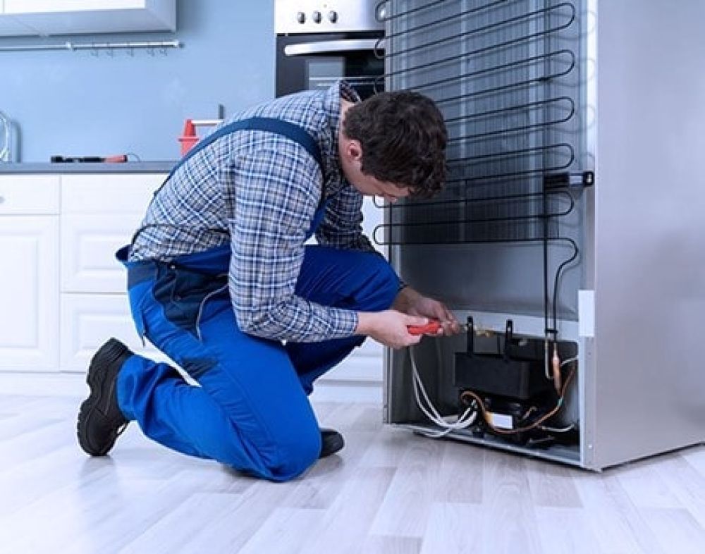 رشد تقاضا برای تعمیر یخچال در شیراز؛ بررسی خدمات نمایندگی‌های معتبر سامسونگ، ال‌جی و اسنوا