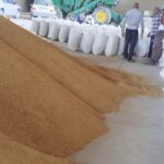 تخصیص ۴۹۰ تن جو یارانه‌ای برای عشایر کهگیلویه و بویراحمد