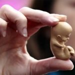 آمار نگران‌کننده سقط جنین در ایران: روزانه هزار مورد، تهدیدی جدی برای آینده جمعیتی کشور