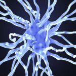 داروی NU-9 در آزمایش‌های حیوانی روند آلزایمر را متوقف کرد