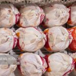 تأمین مرغ در کردستان پایدار است؛ کمبودهای اخیر مقطعی بود