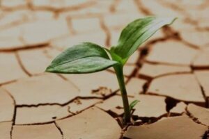 آمار فریبنده بارش؛ همدان همچنان تشنه مدیریت آب