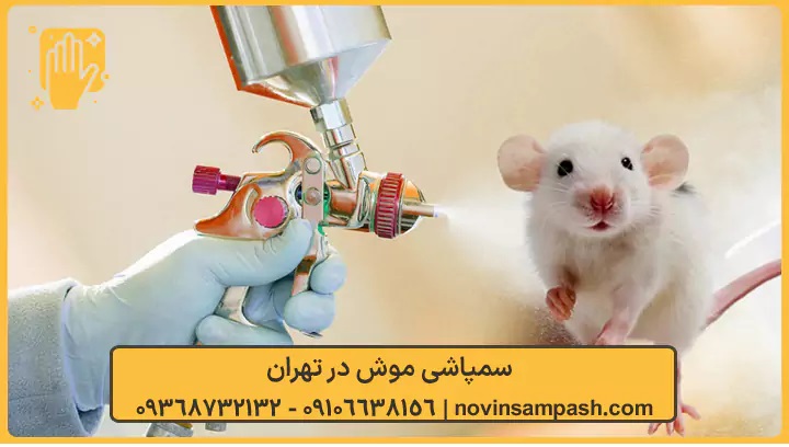 سمپاشی موش روش اصولی برای دفع موش از خانه و محل کار2